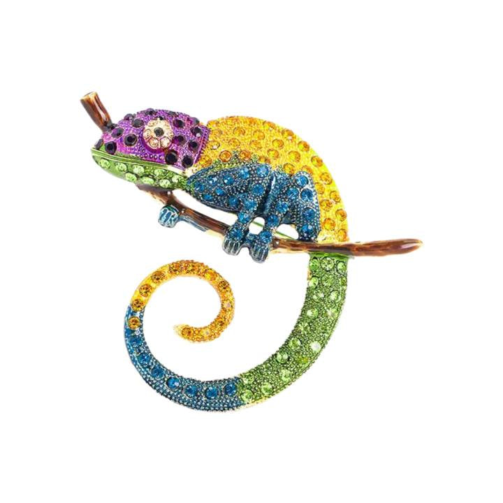 Brož Barevný chameleon