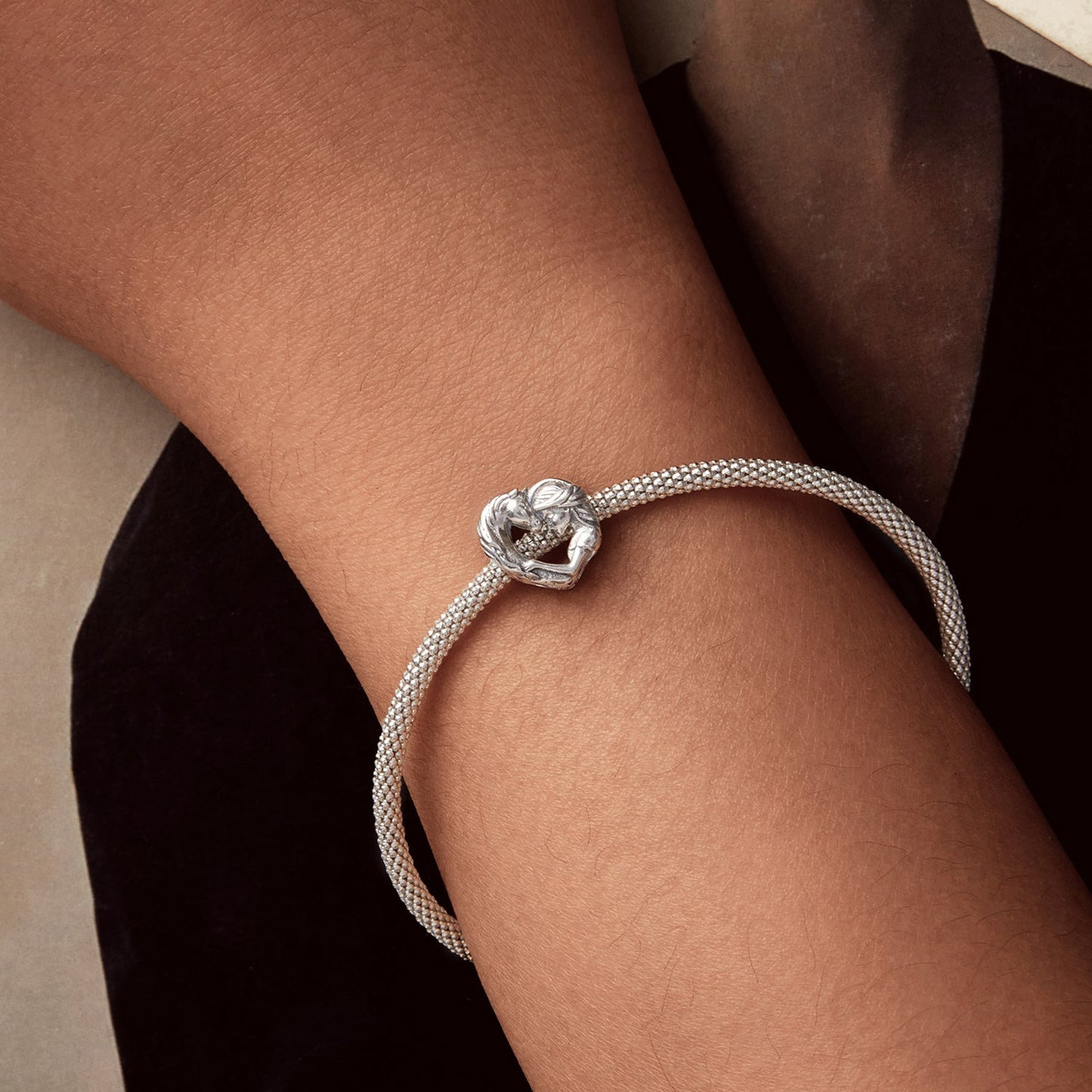 b4d58546ffb0917158244cc1a2e4c4de