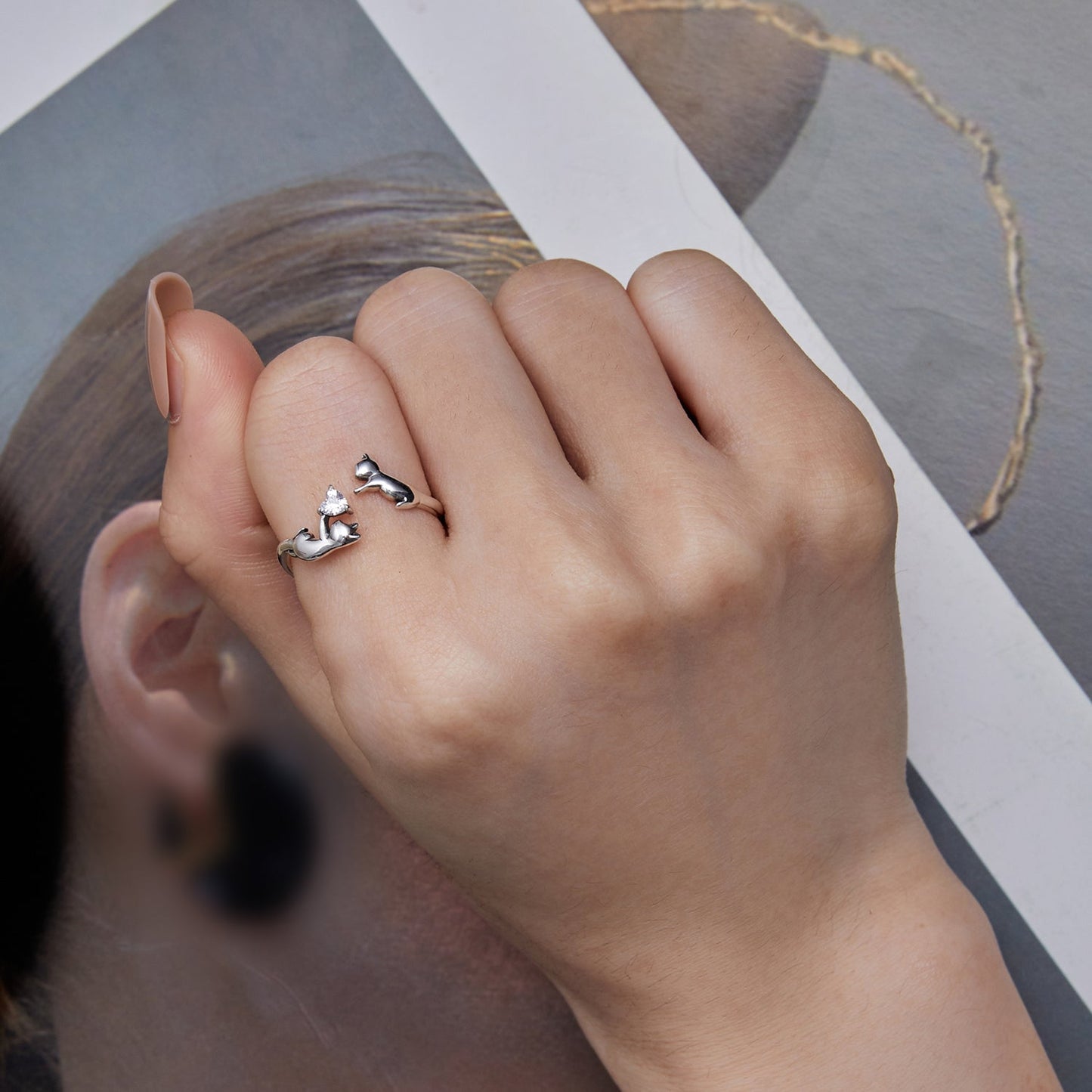 1f6718ad0a2c672f09ea8b379d52f1a5