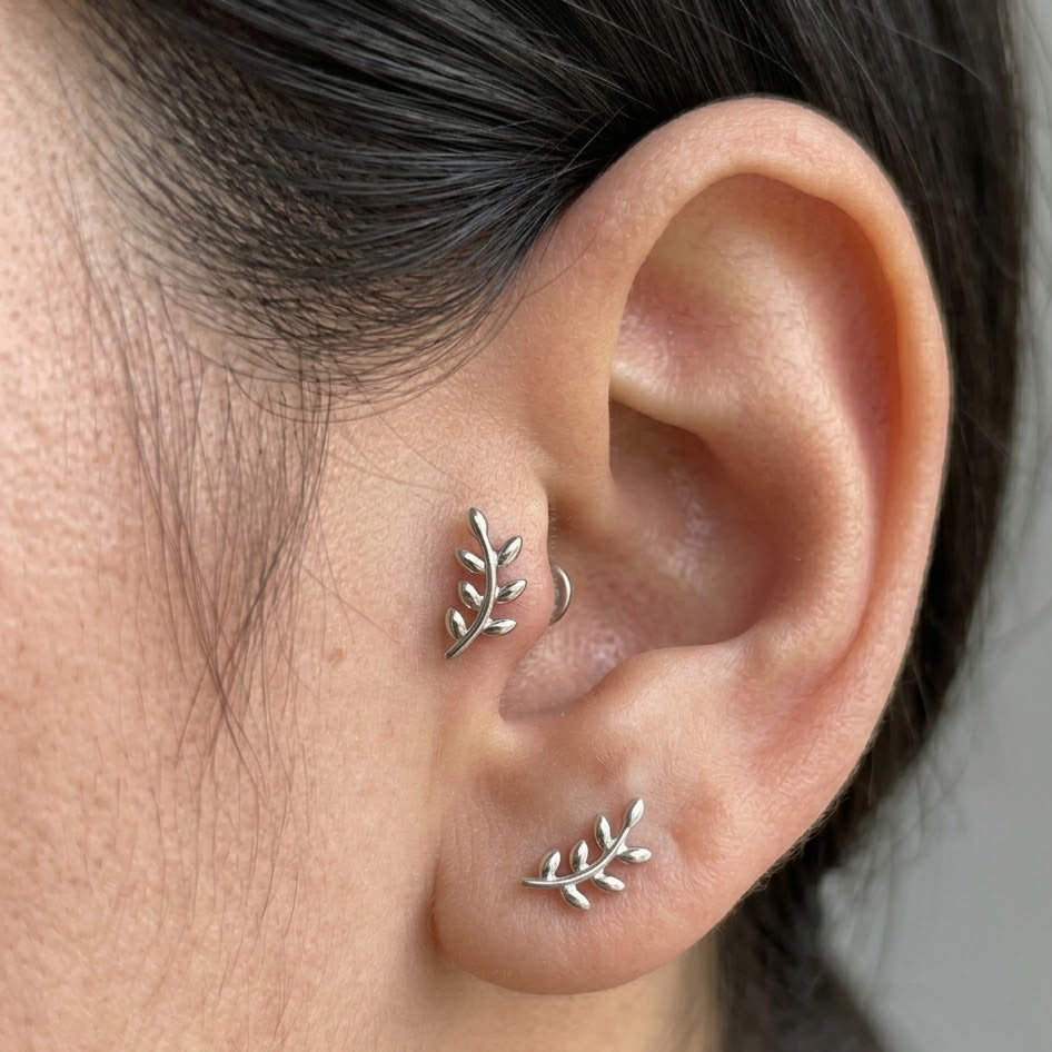Titanový labret 'Silver Olive Branch'