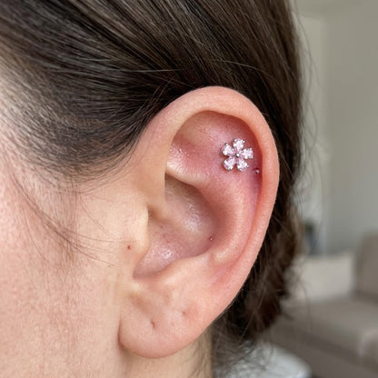 Titanový 'Pink Cherry' labret