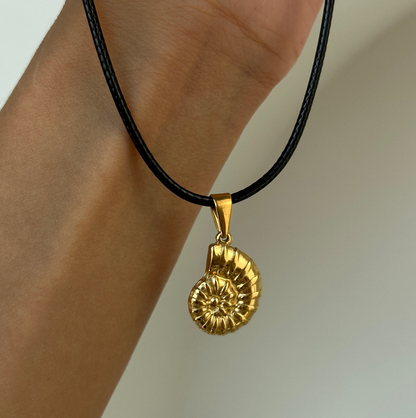 Zlatá mušľa