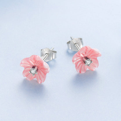 c311fae6e5d1038580f06999bf8bc620