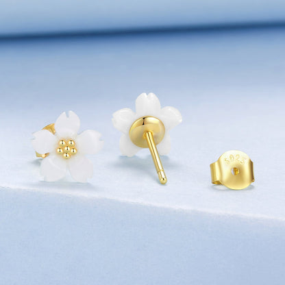 fb0a17d8d5e86d0ea6cca957d695ef54