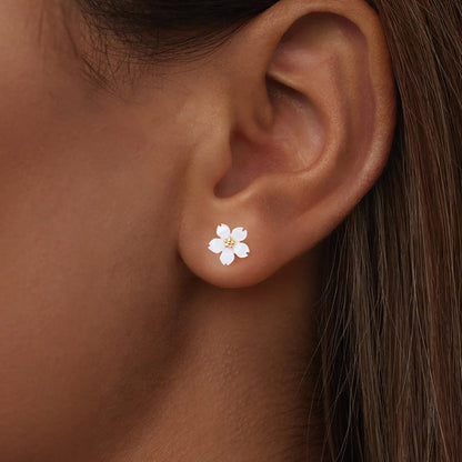 9162747db09d1372a88179af757185ab