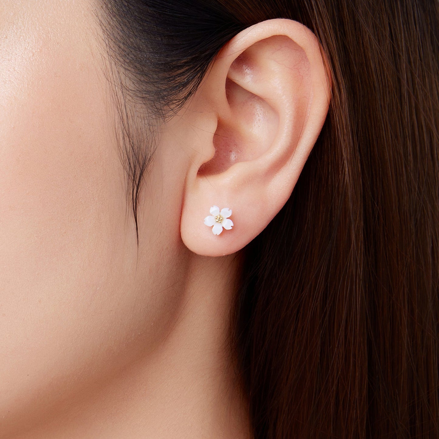 9e0b447a40c93f6b53c4f94f695745dd