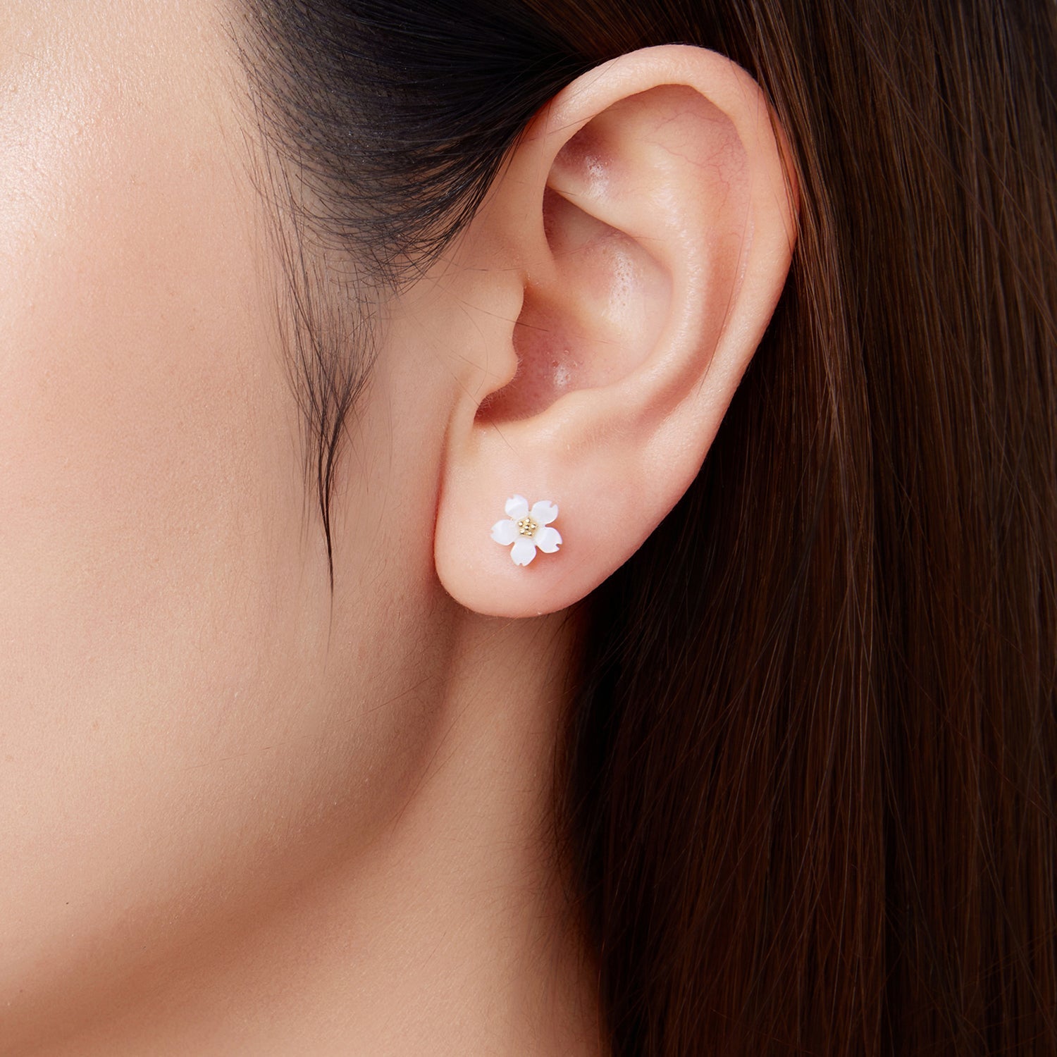 9e0b447a40c93f6b53c4f94f695745dd