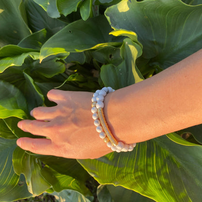 ed4d187cf5b45a5bca0065ab3badb096