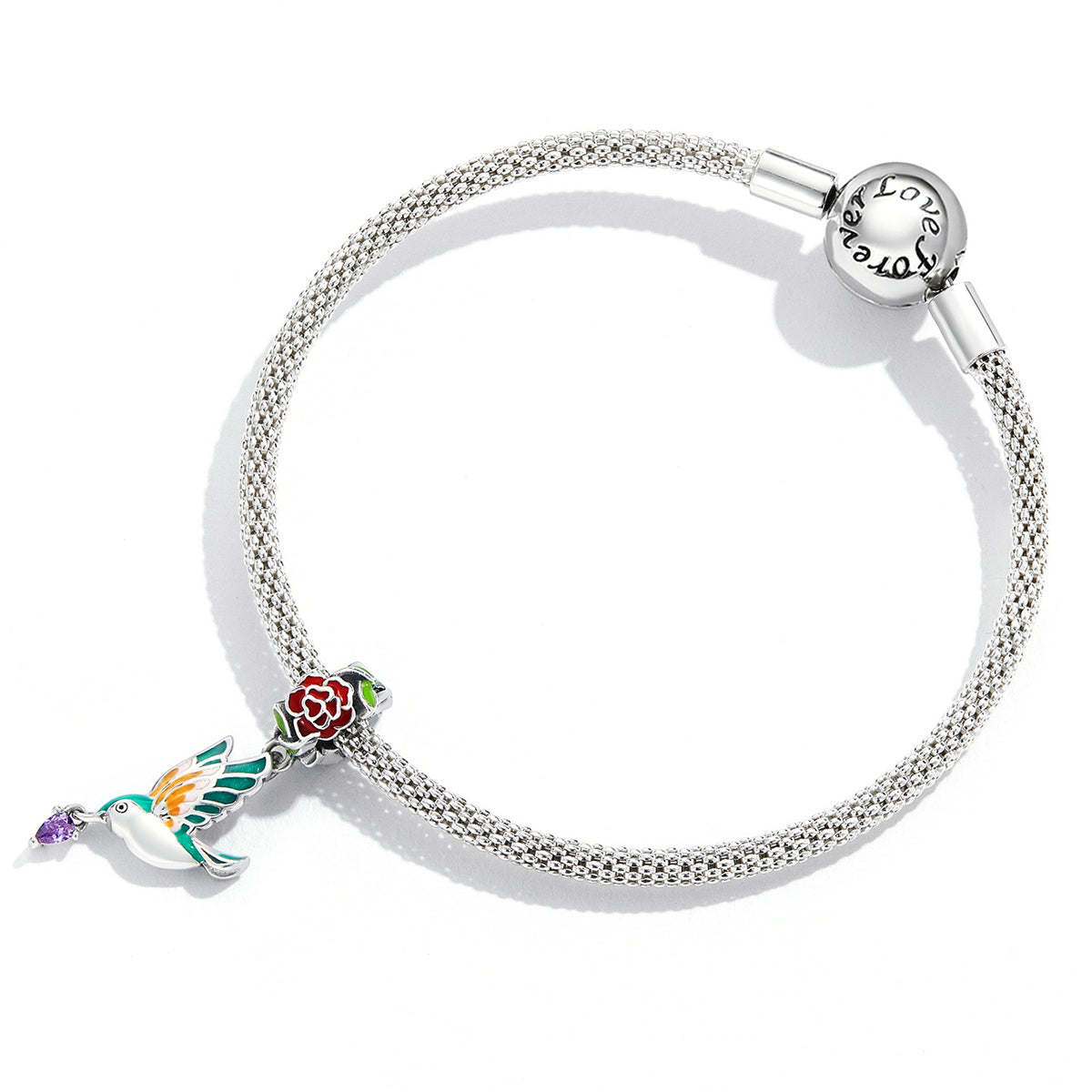 a6b6fd6afe72a9e95bc3c1d2218fd930