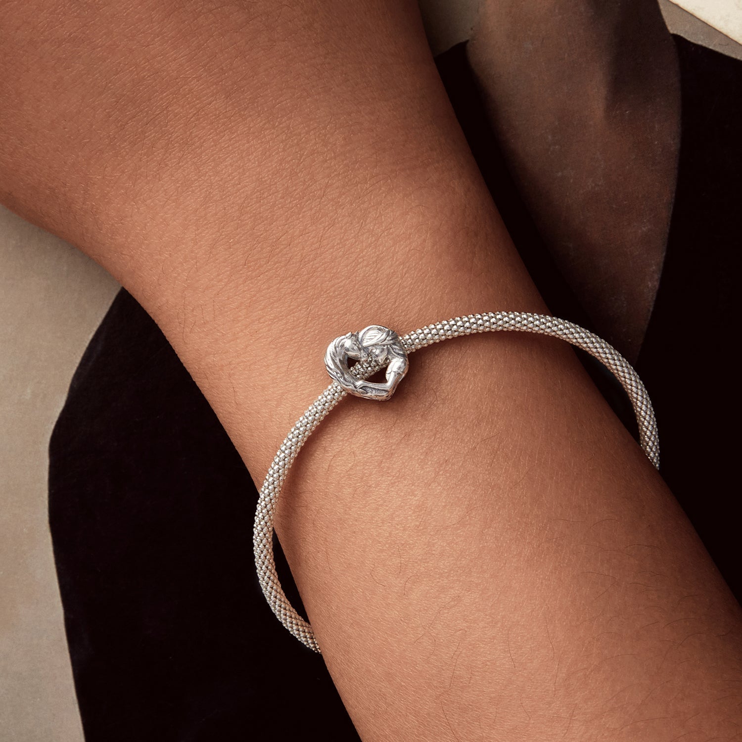 b4d58546ffb0917158244cc1a2e4c4de