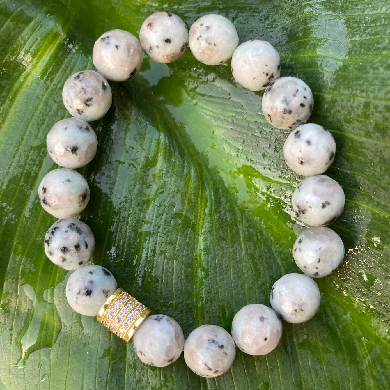 af055f2102b307f6123f75175a15233f