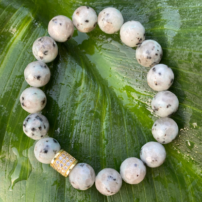 af055f2102b307f6123f75175a15233f