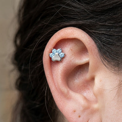 Titánový Labret 'Azure Paw'