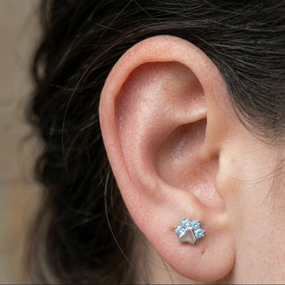 Titánový Labret 'Azure Paw'